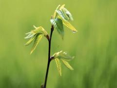 夢見和熟人相遇