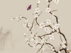 一九七二年屬鼠人2025年運勢如何 1972年屬鼠人2025年每月運勢詳解