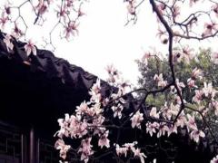 2025六月黃道出門吉日 2025六月出門的黃道吉日有哪幾天