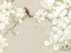 屬猴的人今年考試運(yùn)勢如何 屬猴人今年的運(yùn)氣怎么樣