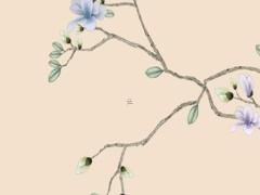 本命年送禮物有什么講究,本命年送禮物有什么講究嘛