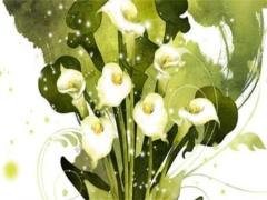 本命年兔戴什么63年的飾品,63年屬兔本命年