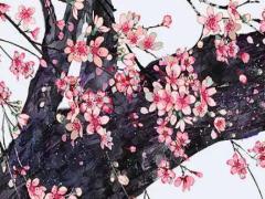 屬兔本命年打麻將好嗎,屬兔本命年打麻將好嗎男