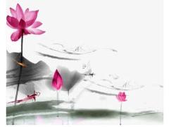 2013年出生屬蛇一生幸運色,2013年出生的蛇寶寶幸運色