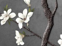 2025年六月洗衣吉日 2025年六月新番