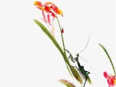 2025公歷6月拆房吉日 2025年公歷6月22能搬家嗎