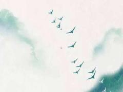 2025年屬羊的命運如何 屬馬人今年的運氣如何