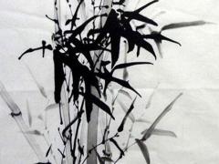 屬牛2025年全年運勢及運程 73年屬牛50歲后的運氣