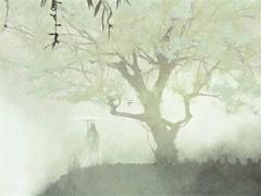 今年屬虎的財運和運氣如何 虎的克星和貴人