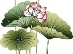 1973年屬牛男人2025運勢詳解書 73年屬牛男在2025年身體狀況