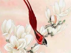 屬龍2025年屬龍運(yùn)勢(shì)及運(yùn)程 屬龍2025年屬馬運(yùn)勢(shì)