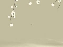 2025年屬馬運勢女 生肖馬2025年佩戴飾物