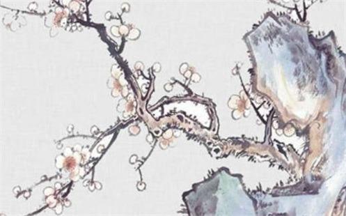 屬虎2025年每月運勢及運程詳解 生肖龍2025運勢