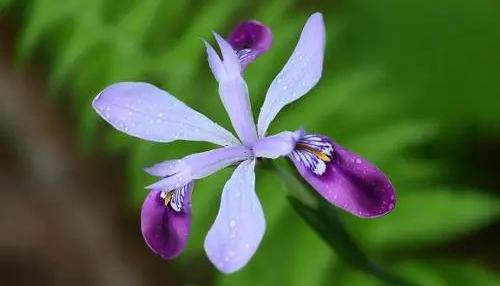 夢(mèng)見各類人 夢(mèng)見各類人