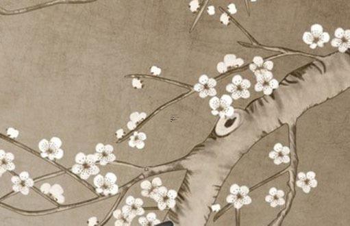 1980年猴男2025年的運(yùn)勢怎么樣 豬年屬猴運(yùn)勢