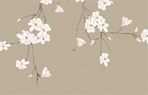 本命年兔買什么手機殼,本命年兔戴什么轉(zhuǎn)運