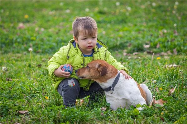 夢見公證人 夢見公證人