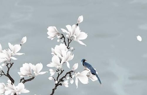 屬猴的運勢2025年運程詳解 屬猴運勢2025全年運勢 屬猴的運勢2025年運程詳解 屬猴運勢2025全年運勢