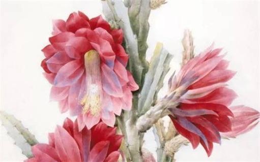 1954年屬馬女2025年運勢及運程 66年馬運勢 1954年屬馬女2025年運勢及運程 66年馬運勢