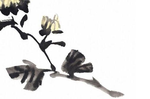 2025年屬牛人運程怎樣呢 2025年屬牛人的運勢及運程