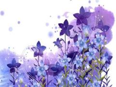 2025太歲方位放什么東西好 2025太歲位適合放什么植物