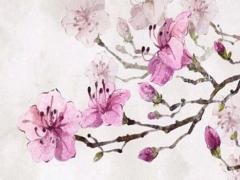 屬兔人在2025年的整體運勢如何 屬兔的年齡查詢