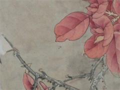 1978屬馬的今年運氣怎么樣 1978年屬馬運氣怎么樣