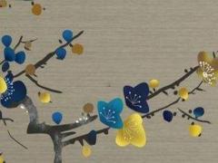 屬兔的本命年和屬虎的結婚,虎兔本命年可以結婚嗎