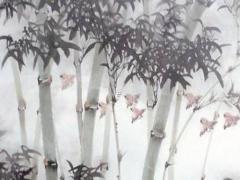 今年什么生肖犯沖 屬豬的今年犯沖嗎