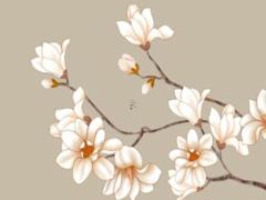 1976年2025年屬龍女人的全年運勢 1976屬龍女2023年下半年怎么樣