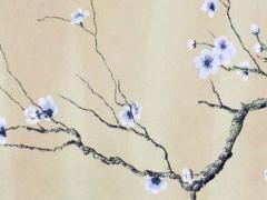 2025年屬相顏色及運勢詳解 2025年屬相運勢星座