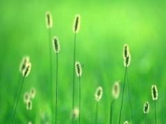 夢見老公懷孕什么預兆