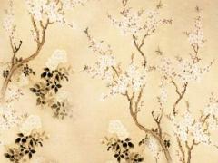 屬蛇2025每月運勢完整版 屬蛇最好婚配