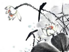 本命年屬兔戴什么手鏈好運(yùn),本命年兔戴什么轉(zhuǎn)運(yùn)