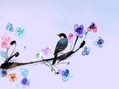 1987年2月屬兔是什么命,1987年2月屬兔是什么命男