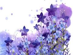 今年屬馬的財(cái)運(yùn)如何 屬馬66年生女今年財(cái)運(yùn)如何