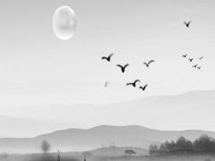 1967年屬羊男2025全年運勢運程 1967屬羊的貴人