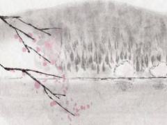 屬羊2025年運勢及運程完整版 屬龍女2025年運勢及運程