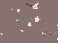 二千年龍女2025年運勢 2000年屬龍女2025年每月運勢