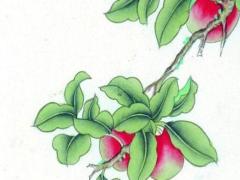 屬龍今年犯太歲怎么破解 屬龍太歲年都有哪幾年