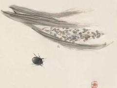 屬兔的本命年臘月初八出生,屬兔臘月初八是什么星座