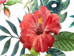 92年猴男2025年運勢完整版 68年猴2025佩戴飾物