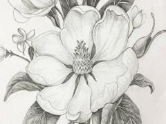 2011年屬兔五行缺啥命,2011年屬兔五行