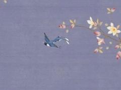 1984年屬鼠女2025年財(cái)運(yùn)如何 2024年屬兔的全年運(yùn)程