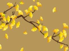 2025年屬虎人運程 2025年屬虎幸運色