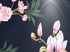 本命年佩戴銀飾辟邪嗎,本命年戴銀飾好嗎