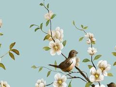 屬兔本命年佩戴什么金子最好,屬兔的本命年穿什么顏色好