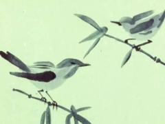 生肖牛男2025年運(yùn)勢 生肖龍2025運(yùn)勢