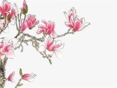 屬猴的今年多大年齡哪年出生的 1992屬猴今年多大