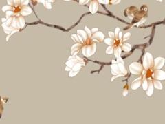 兔本命年買什么生肖,兔本命年什么生肖要穿紅色